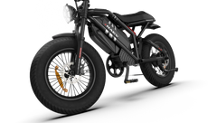 RAEV BULLET GT E-Bike Range for Days