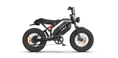 RAEV BULLET GT E-Bike Range for Days