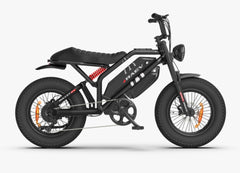 RAEV BULLET GT V2 E-Bike Range For Days