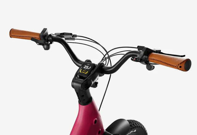 URTOPIA  E-Bike Joy Carbon