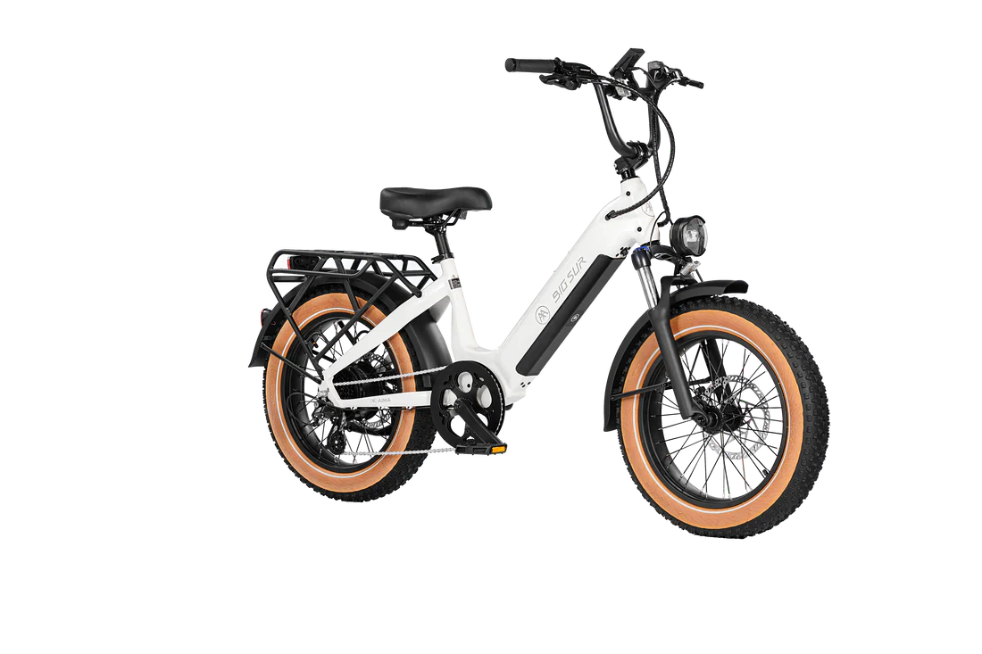 AIMA BIG SUR 20” E-BIKE