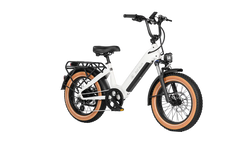 AIMA BIG SUR 20” E-BIKE