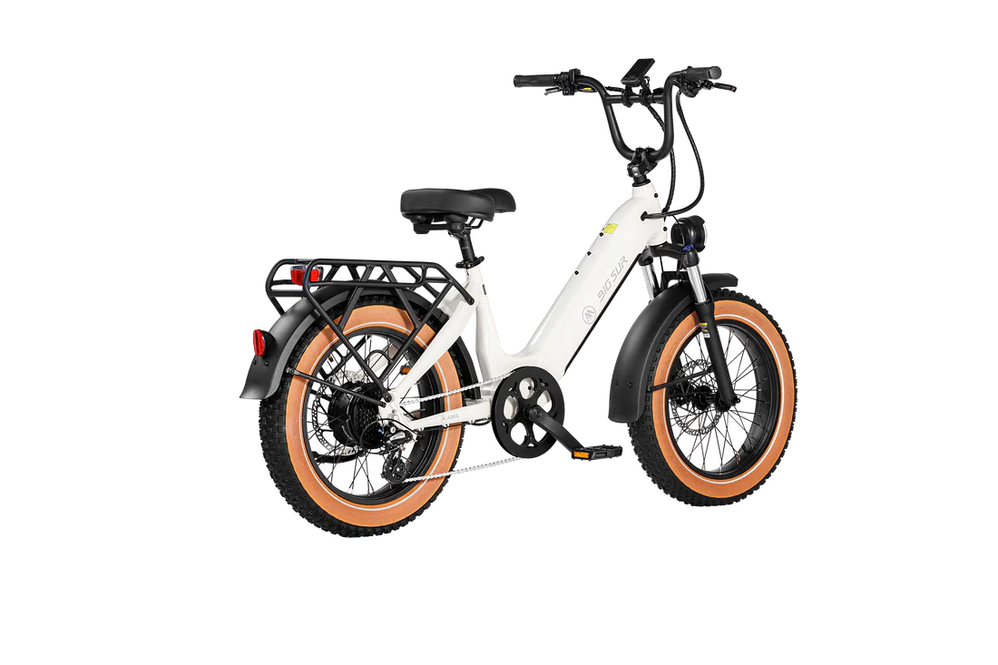 AIMA BIG SUR 20” E-BIKE