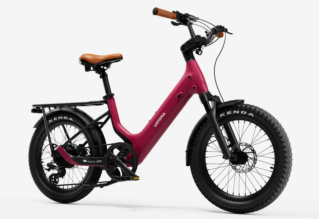 URTOPIA  E-Bike Joy Carbon