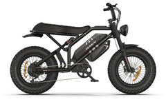 RAEV BULLET GTX DUAL BATTERY E-Bike Xtreme Power Unleashed