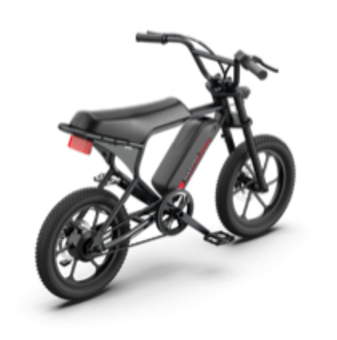 MACFOX M19 E-BIKE for Teenager