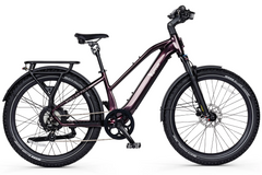 EUPHREE E-BIKE Stellar Falcon MidStep