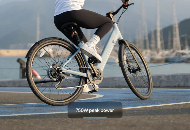 URTOPIA E-Bike Carbon 1 Pro ST *Step Thru